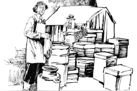 故事 · 典藏 | 养蜂人的奇遇图片