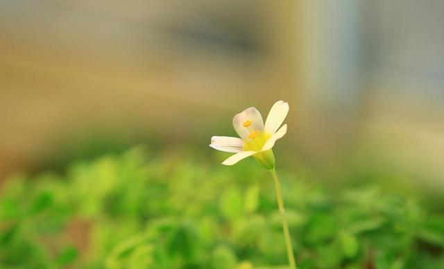 为什么你身边围绕的都是小人恶人，原因：你活得太正直！太正能量