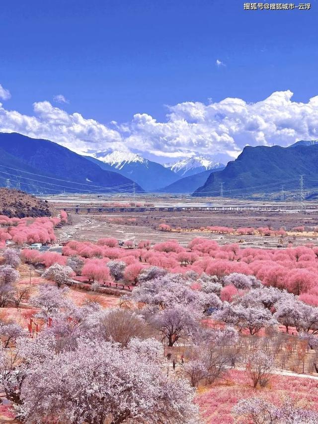 中国最美春光！踏春游春十个最佳去处