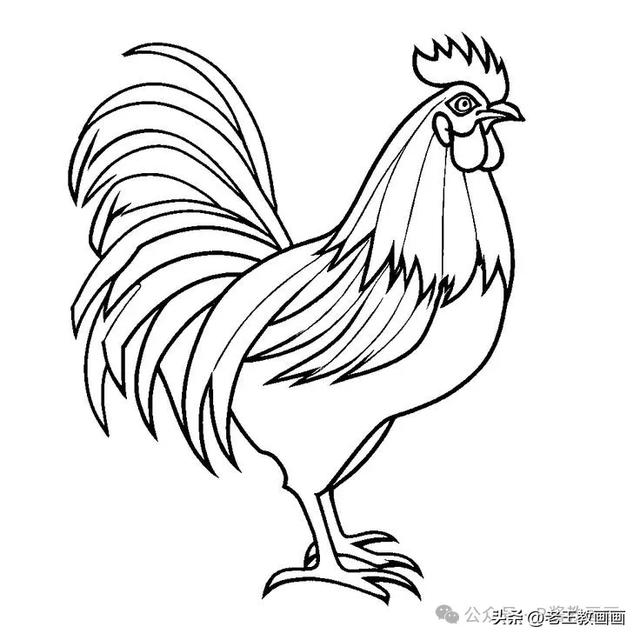 原来画公鸡，这么简单