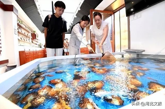 我们的邯郸道丨老居民的新生活