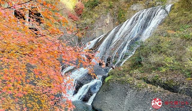 茨城大子町5大景点推荐:袋田瀑布、苹果温泉、复古小学必去!