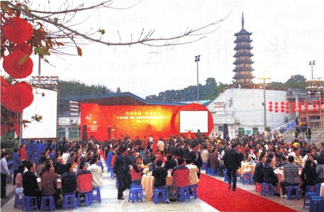 龙峰塔下，聆听龙华三十余载步履与回响