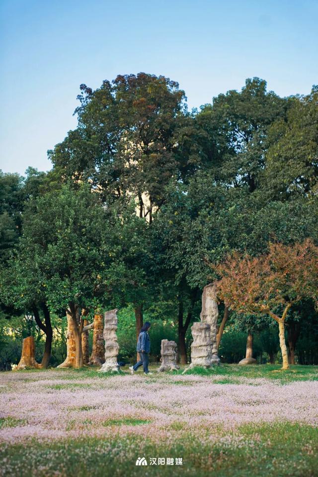 汉阳，变色……了