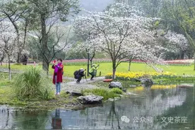 毕淑敏丨保持惊奇图片