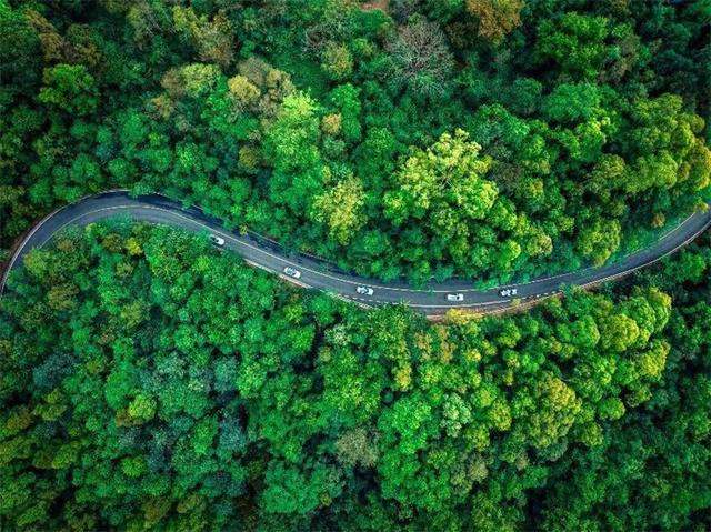 湄公河旅游旗下普洱太阳河森林公园开启没有天花板的《自然公开课》