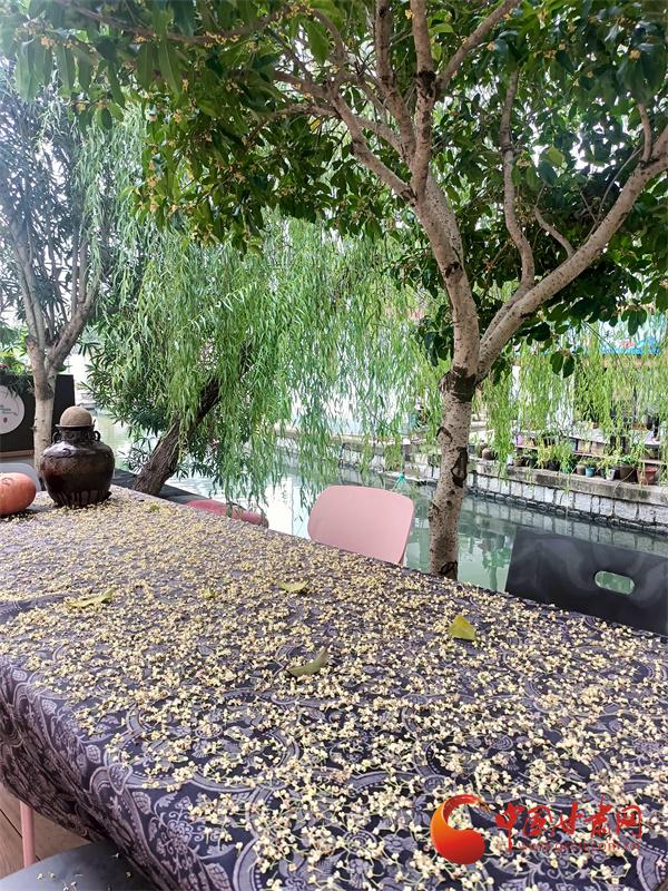 会里会外看进博：上海文化地标编织城市斑斓图景