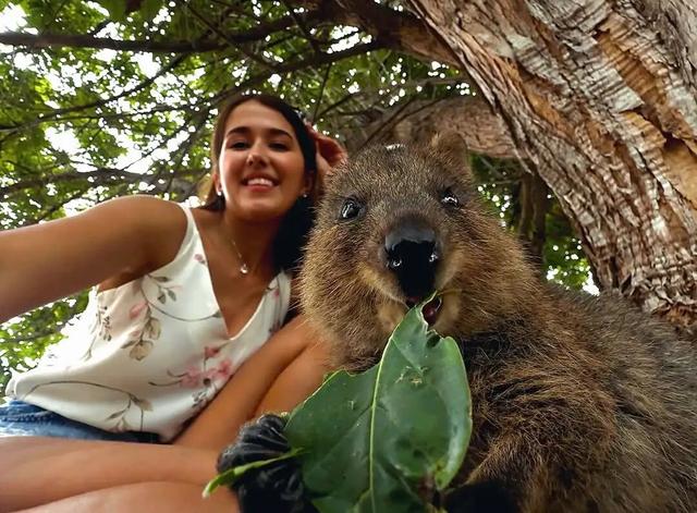 素颜版巴黎走红，推荐一处不“照骗”的目的地！