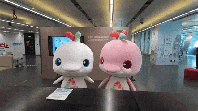 新年将至，呼和浩特游玩项目轮番上演！