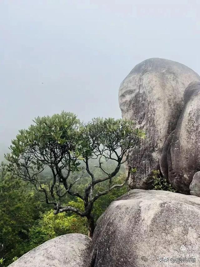 浙江隐藏一座“小黄山”，风光绝美还没门票，秋日徒步好去处！
