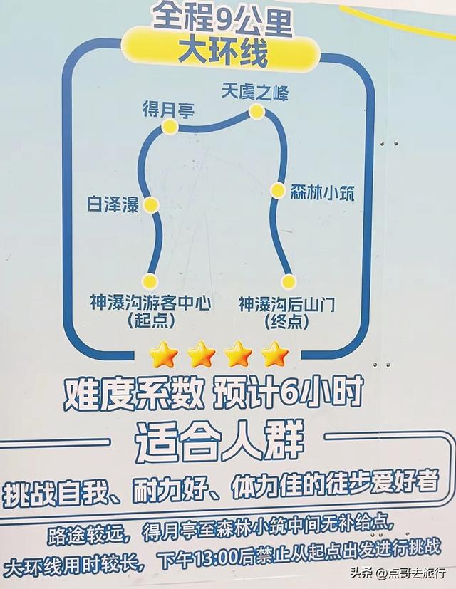 四川又一高山杜鹃惊艳了，刚好进盛花期，云海中的花园，非常唯美