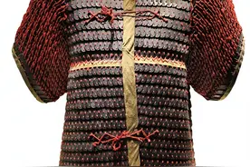 能做盔甲的鱼鳞，最早出现在哪条鱼身上？图片