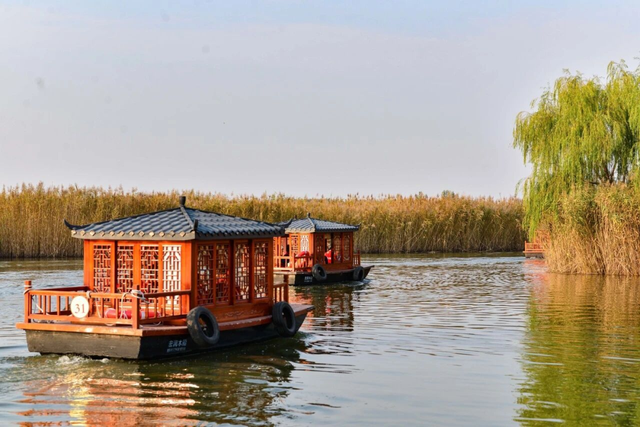 即刻出发，解锁淄博「秋日限定」模式，错过等明年！