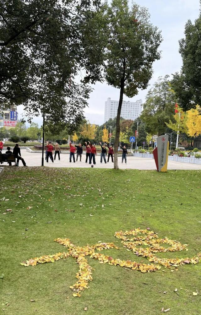 大邑银杏@你，初冬限定“金”喜，请查收！