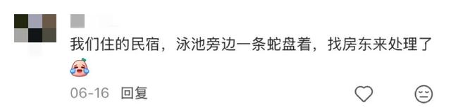 阻止我去巴厘岛旅游的唯一理由: