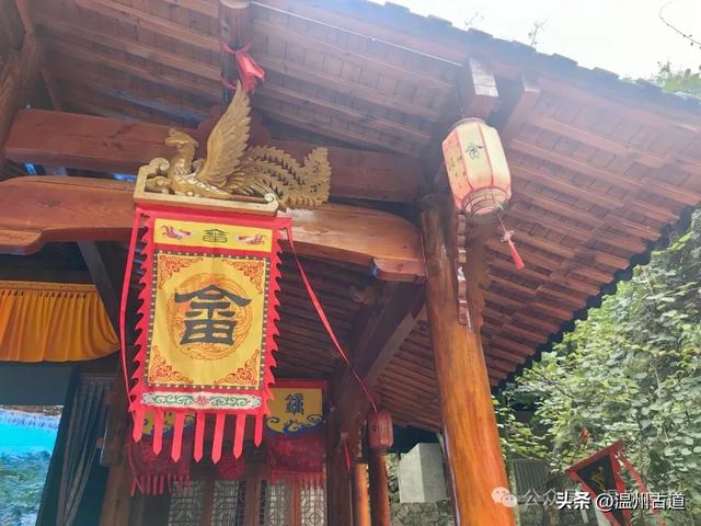 温州这个以畲族始祖命名的4A级景区，秘藏着一座“生物王国”！