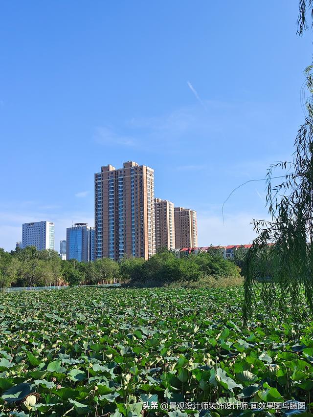 河北省沧州市人民公园