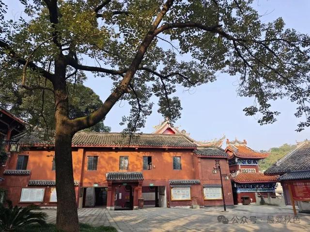 为了一碗羊肉汤，去了简阳