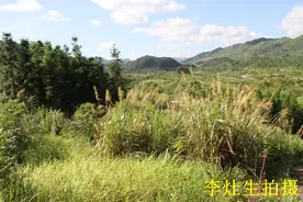 龙岩仙的神秘传说与故事——广东省乐昌市云岩镇斯茅坪村图片