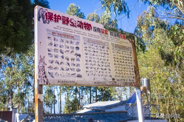 探秘云南巍山“鸟道雄关”,没想到它竟然是世界上最早的相关古迹