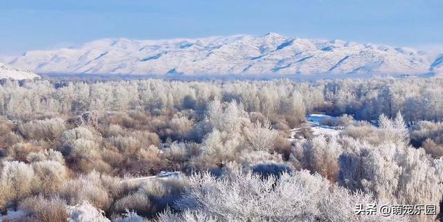 新疆雪山之巅俯瞰	，云海翻滚如仙境，当地人说出惊人秘密