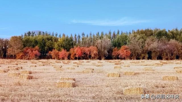 包头人的骄傲！亚洲最大的城中草原赛汗塔拉，外地人来了都惊叹