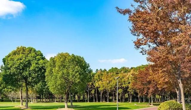 离开苏州，移居昆明两年了，对比下两地的生活吧！实话实说！