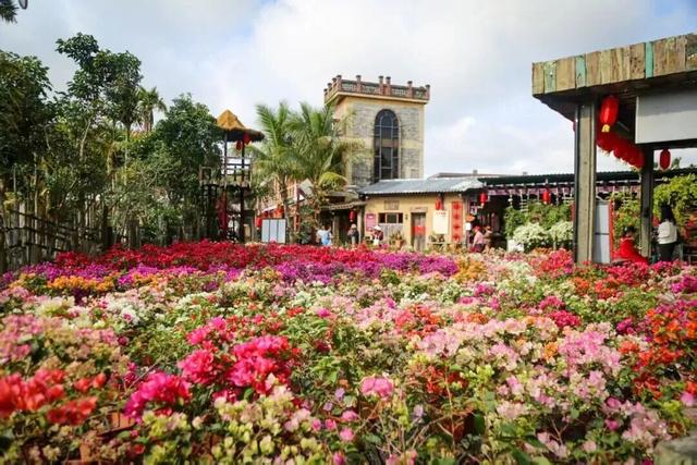 元旦游 | 来万宁，邂逅美丽乡村，开启新年第一场治愈之旅