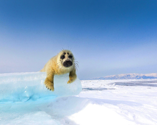 说走就走！中国公民赴俄免签，从满洲里25分钟出国