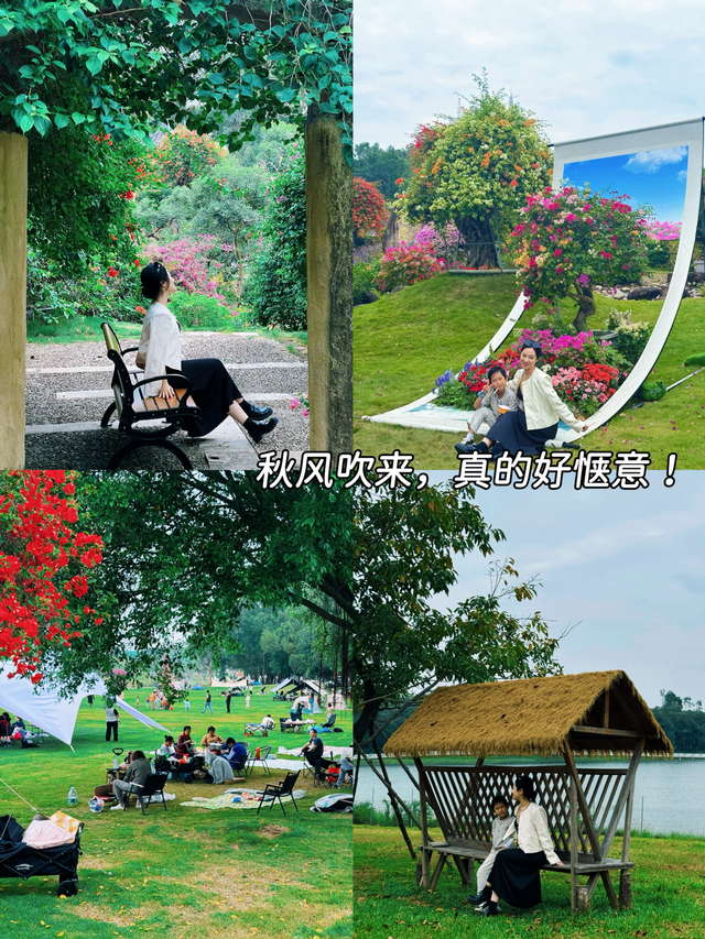 广州近郊新体验：马岭观花植物园打造“花海+萌宠”一站式畅玩地