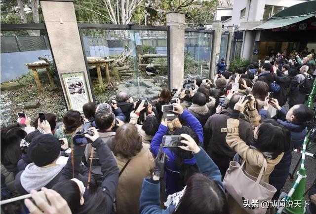 没有回旋余地	，中国下令直接收回，17万日本人泪奔，高市闯祸了！