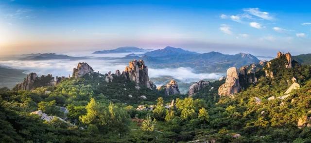 藏不住了！正是好拍又好逛的时候！就在日照这些地方……