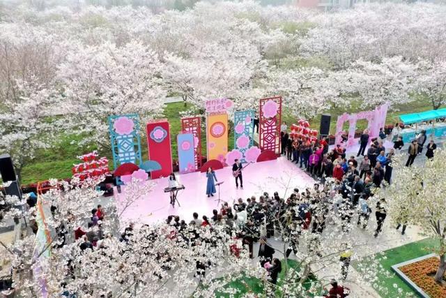 6天，近70万人！