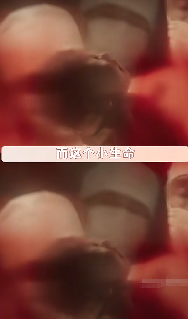 没想到《731》上映仅3天，59岁王志文因一句话，再次实现口碑暴增