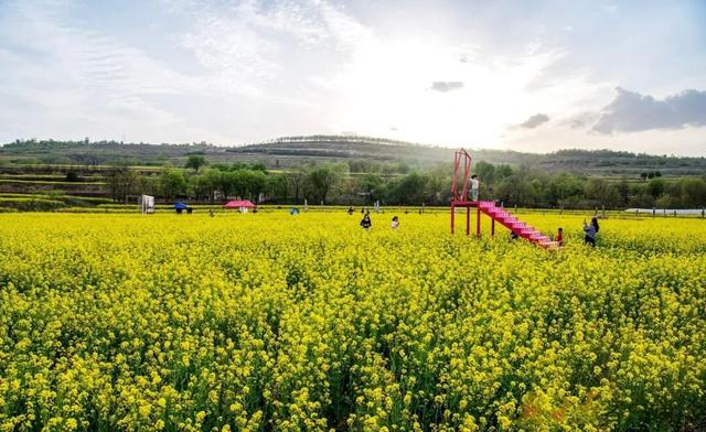 庆阳这5个地方，藏着黄土塬整个春天的密码！