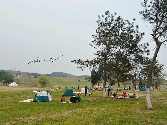 华中唯一“草原主题”5A景区，就在武汉，游客误以为穿越到内蒙？