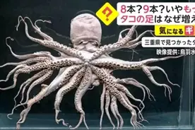 日本核污水排海快一年半，现在有啥影响？图片