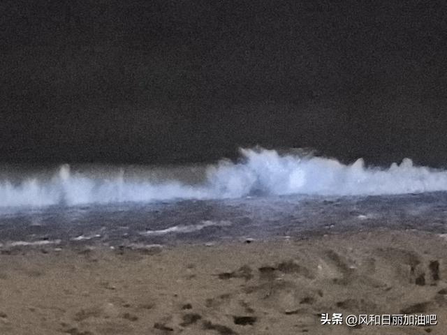 夜宿渤海边时