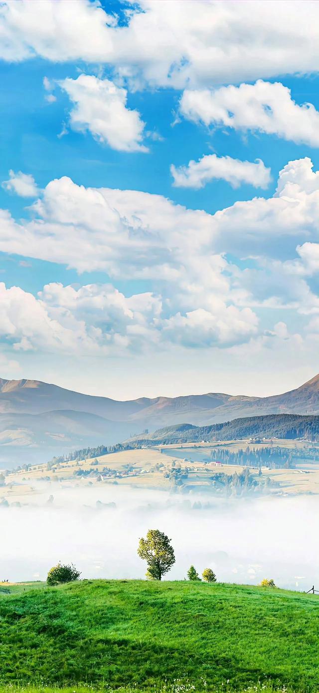 手机壁纸|自然美景，值得欣赏