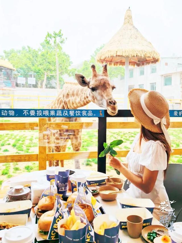 @全体跑友+随行人员：这份荣成“旅游专属福利”请收好！