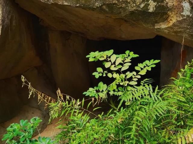 “若得一日闲 山中品千年” 游泉州清源山