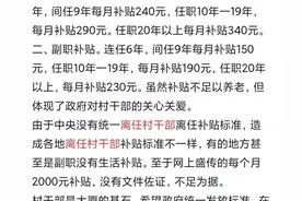 为农村离任村干部发声图片