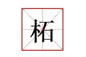 "柘"字怎么读?什么意思?"柘叶"的读音和意思是什么?图片