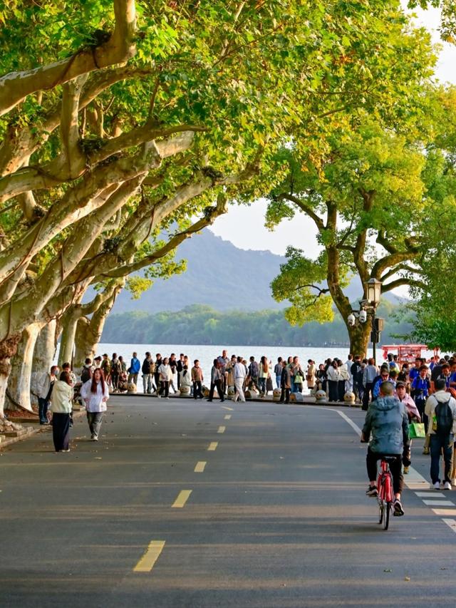 大量法国游客涌入杭州，打着旅游幌子不去旅游不吃美食，为啥来？