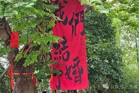 苏州这些地方，超浪漫！图片