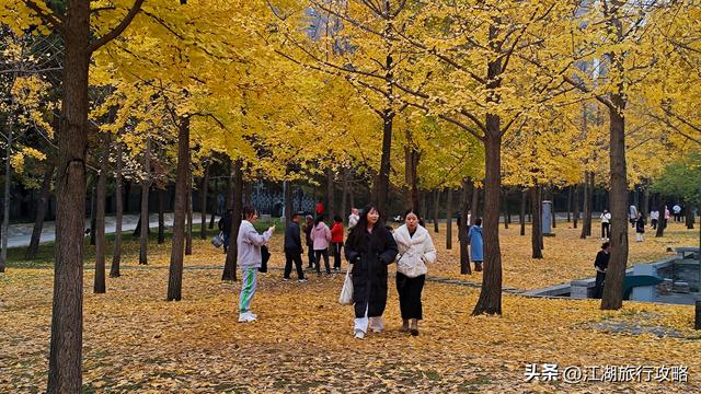 西安曲江富人区墓景房，地下埋着秦二世，地上是银杏林和博物馆