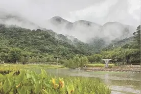 【深圳特区报】一步一景皆春色 山海连城入画来 深圳建成17个绿美广东生态建设示范点图片