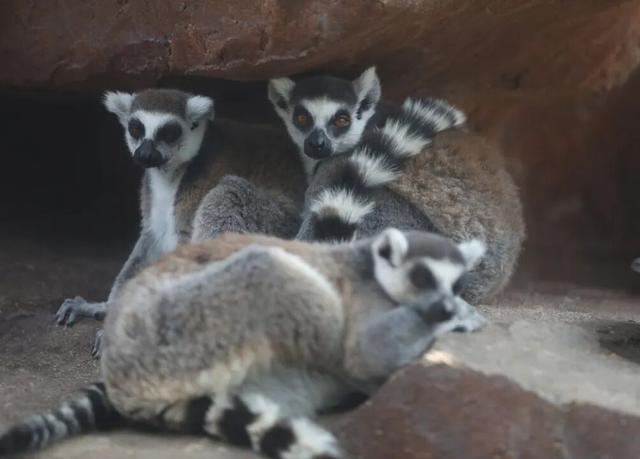 半价！半价！所有人半价！