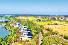 改革奋进看江苏 | 产业为笔 描绘西楚大地乡村振兴新画卷图片