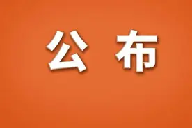 数字公布！中国石化这14家企业亮上半年成绩单！图片
